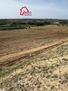 TERRAIN GALDO VTN023