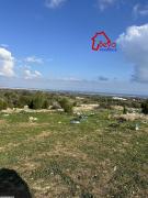 Terrain SILVER VTN019