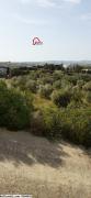 terrain VIVANE VTH100