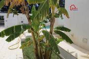 villa avec piscine LVB141
