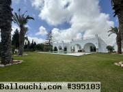 VILLA ALMA Hammamet Sud El Bessbassia AL3325
