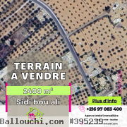 Terrain agricole #Situé à Sidi Bou Ali Sousse .de 240.000 dt
