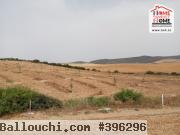 Terrain Agricole Jannah à Vendre à Teboursouk
