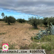 Terrain agricole #Situé à Sidi Bou Ali Sousse 2400 m² 