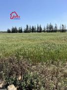 Terrain HADIL VTN045