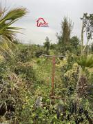 terrain AMARYA VTN035