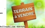 terrain ALFA VTK035