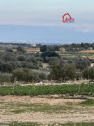 ; terrain YARA VTN001