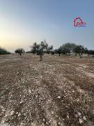 Terrain TANJA VTN036
