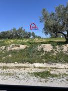 terrain ITAL VTN037