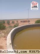 Terrain Agricole Souihli à Vendre à Awled Zayd Gafsa