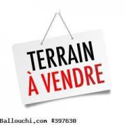 terrain ERNESTA VTD883