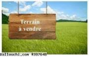 TERRAIN ZEINEB VTK004