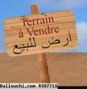 terrain FOLKA VTK066