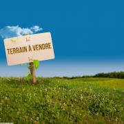 TERRAIN BIKA VTN044