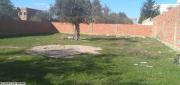 AV terrain yassmin hammamet 1000m