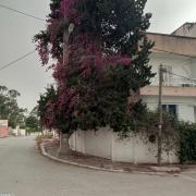 duplex