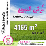 TerrainDe 4165m²àFoukaia sur la route goudronnée foukaia 