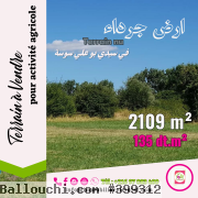 Terrain Nu (ارض جرداء) de 2109 m² à 