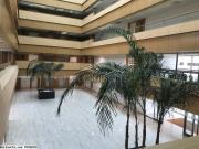 Bureau H+3 aux Jardins de Carthage  ZBL0254