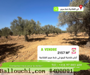 Très belle offre pour un terrain agricole de 2157m² a foukaia