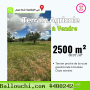 Une Bonne Offre à Foukaia Chott Meriem,