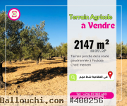 Une Bonne Offre à Foukaia Chott Meriem,