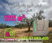 Une Bonne Offre à Foukaia Chott Meriem,