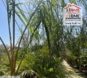 Terrain Hawazy À Vendre À La Soukra