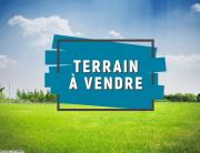 À vendre : 5 hectares à gafsa  Nord, à environ 520 mètres de la route principale Tunis