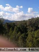 Terrain Hectare et demie