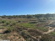 T223 Terrain REVE DOUIKHLA