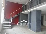 Local commercial aux Berges du Lac 1 MCL0408