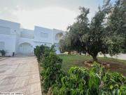 V412 Villa MAJORELLE Hammamet SUD
