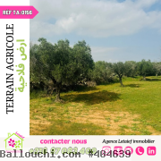 Terrain de 6500 m² a foukaia 120 Dinar le m²