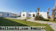 GRANDE MAISON SUR MEZRAYA DJERBA ZA - RÉF V693