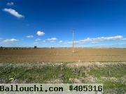 Terrain Agricole à vendre à Chorfech, Sidi Thabet