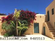 DAR EL WARD DJERBA AV1849