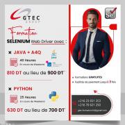 Réduction fin d'année :  Formation Selenium Webdriver avec Java / Python