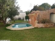 Appartement SOUROUR (Réf: V395)