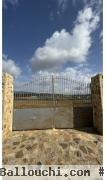 TERRAIN MZIRAA Hammamet Birbouregba T1024