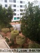 Appart S1 La Saison d’Or Meublé à Louer à La Marsa