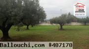 Ferme EL Baha à Vendre à Mornag