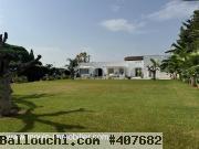 Villa Rania AL3443 Hammamet