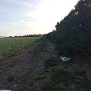 Terrain a vendre
