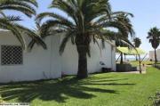 Bungalow noisette(réf: l1981)