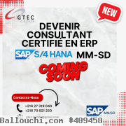 Formation en SAP MM / SD sur S/4 HANA