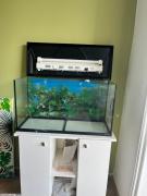 Aquarium Ferplast Comme Neuf + Meuble MDF + Accessoires - Dimensions Précises