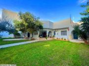 L519 Villa GREEN