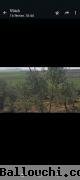 5 hectares excellent terrain agricole